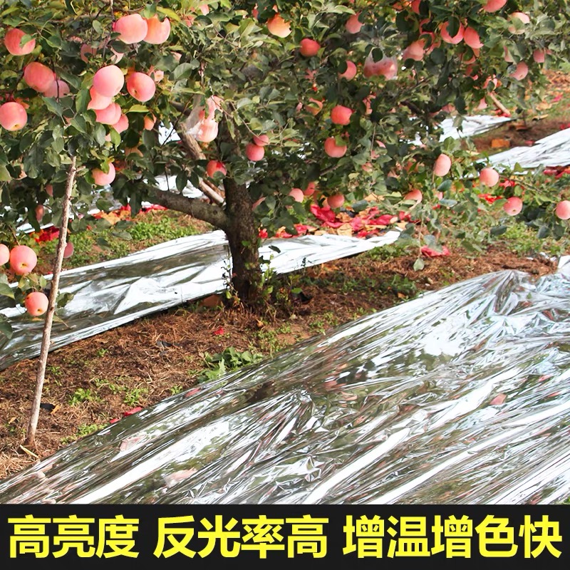 济源市果树反光膜果树反光膜 - 一站式服务